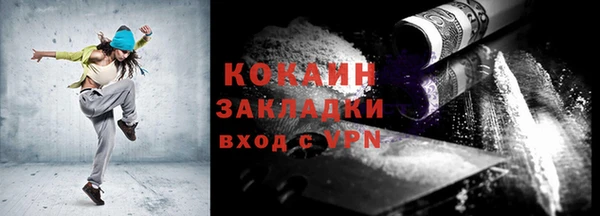 дмт Бородино
