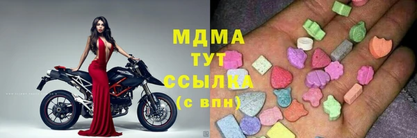 дмт Бородино