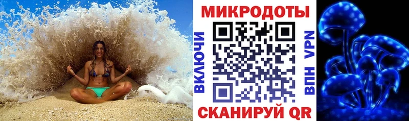 Галлюциногенные грибы Psilocybe  Купить закладки  Высоковск 